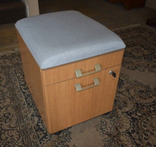 Vintage Office File Cabinet, Rolling Upholstered Bench