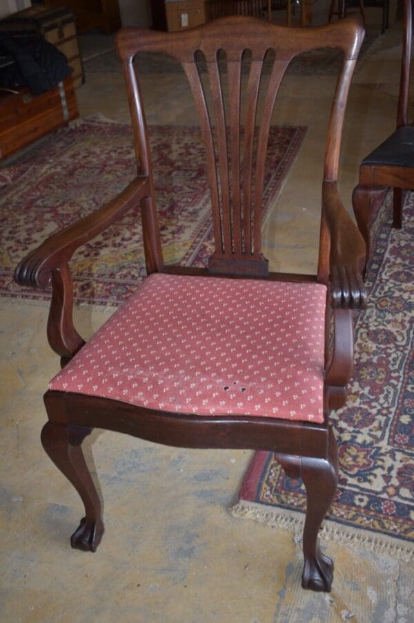 Antique Dining Room Chairs Ball & Claw Feet, Set of 8