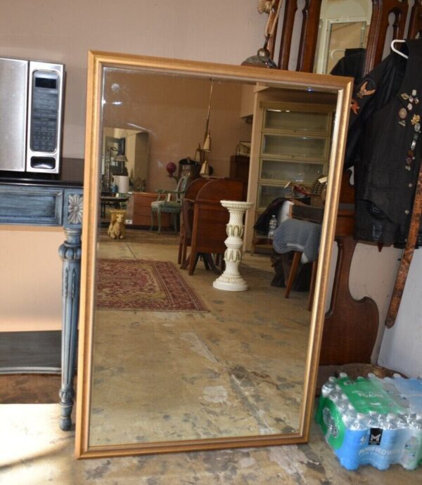 Large Gold Frame Rectangular Mirror by the Custom Frame Shopp